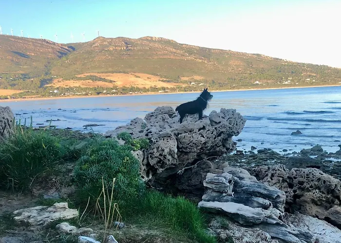 Apartment Palomas Coastal Retreat Sleeps 2-4